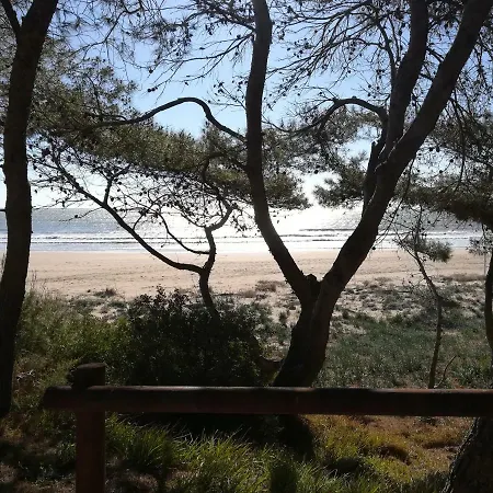 Arenas * Alcossebre